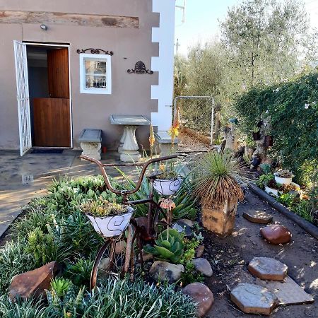 Carmel Villa B&B Or Self-Catering Calvinia Exterior photo